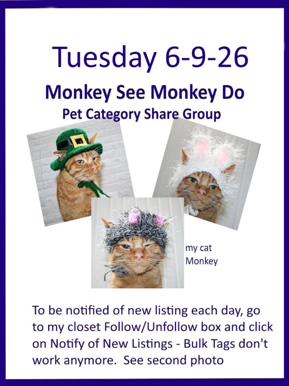 Tuesday 6-9-26 Dog Cat Small Animal Pet Share Discussion Group
